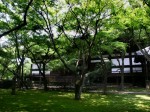 [040701_7.jpg]