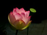 [040701_8.jpg]