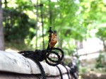 [040723_3.jpg]