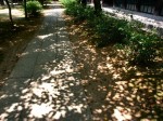 [040723_4.jpg]