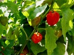 [040806_6.jpg]