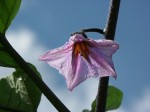 [040806_8.jpg]