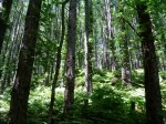 [040821_7.jpg]