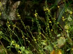 [040827_5.jpg]