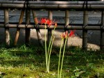 [040903_8.jpg]