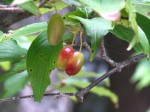 [040910_10.jpg]