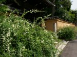 [040917_9.jpg]