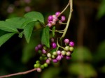 [040924_10.jpg]