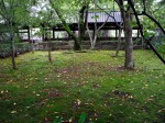 [041008_10.jpg]