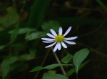 [041029_18.jpg]