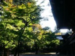 [041029_8.jpg]