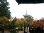 [041119_15.jpg]