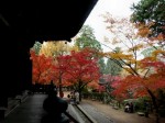 [041125_23.jpg]