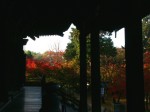 [041125_7.jpg]