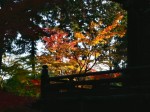 [041125_8.jpg]