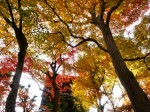 [041203_32.jpg]