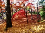 [041210_16.jpg]