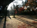 [041210_20.jpg]