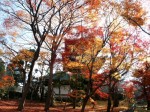 [041210_23.jpg]