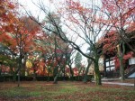 [041210_24.jpg]