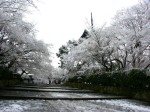 [041231_10.jpg]