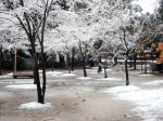[041231_16.jpg]