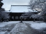 [050101_1.jpg]