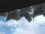 [050101_4.jpg]