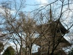 [050107_12.jpg]