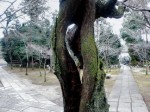 [050121_18.jpg]