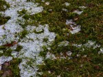 [050204_18.jpg]