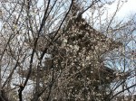[050210_11.jpg]