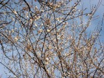 [050218_1.jpg]