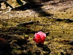 [050218_25.jpg]
