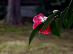 [050225_11.jpg]