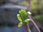 [050312_12.jpg]