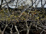 [050318_1.jpg]