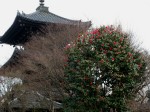 [050318_23.jpg]