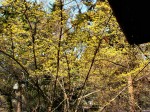[050325_5.jpg]