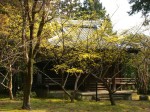 [050401_7.jpg]