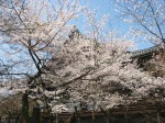 [050408_3.jpg]
