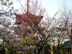 [050415_10.jpg]