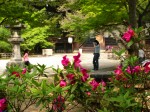 [050429_16.jpg]