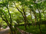 [050429_17.jpg]