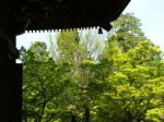 [050429_26.jpg]