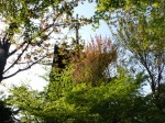 [050429_8.jpg]