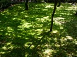 [050513_15.jpg]