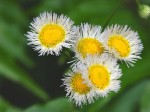 [050513_31.jpg]
