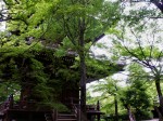 [050520_10.jpg]