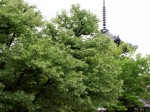 [050520_8.jpg]